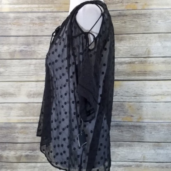 NWOT ZARA Plumetis Sheer Swiss Dot Blouse M - Picture 7 of 7